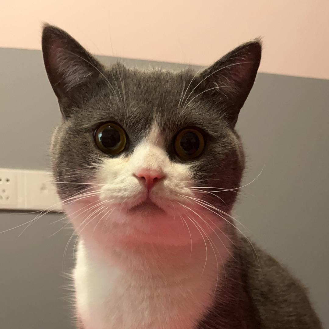 614