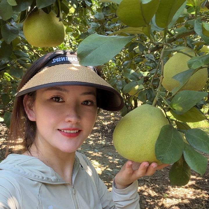 小李子姐姐🍊