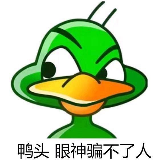 一包葱