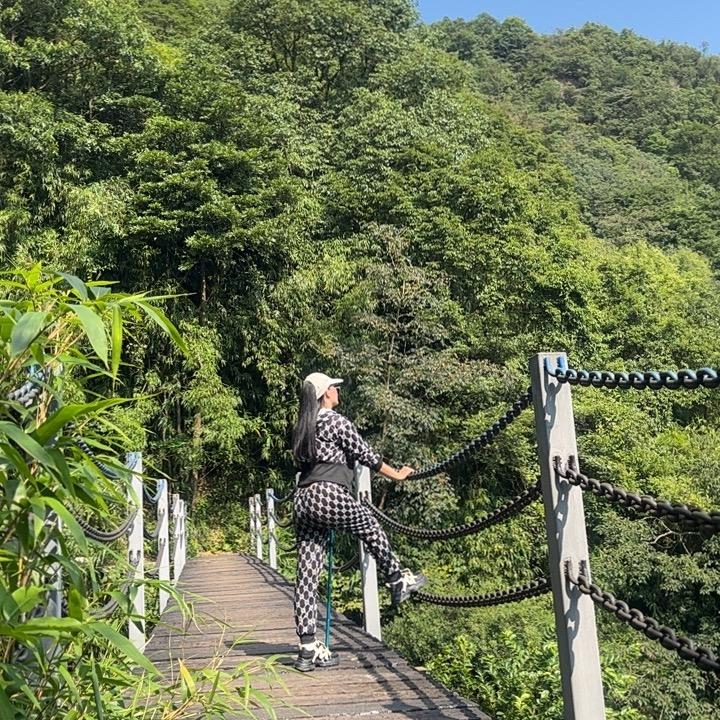 小燕子