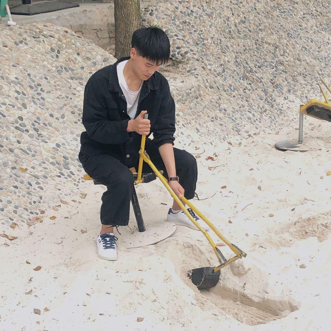 下洼井楼陈顶庄柴鸡。柴鸡蛋出售