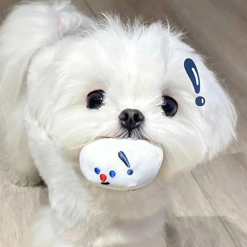 椰🥥