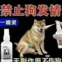 長達滾男到底誰在談？