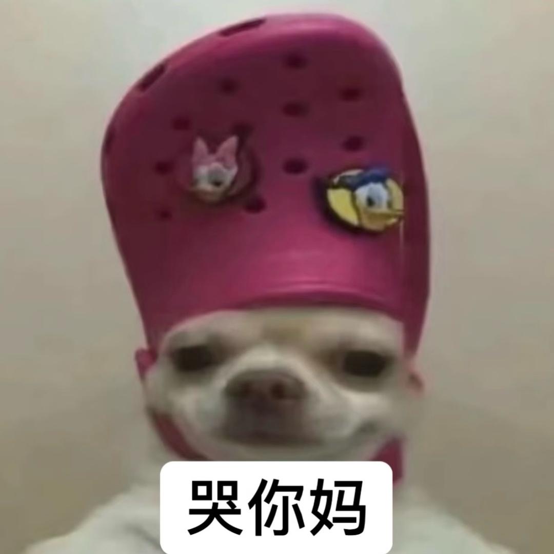 老师有人拉兜里了