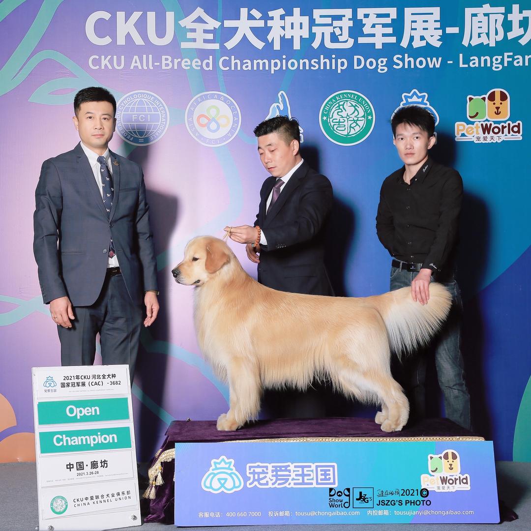 金廷犬舍