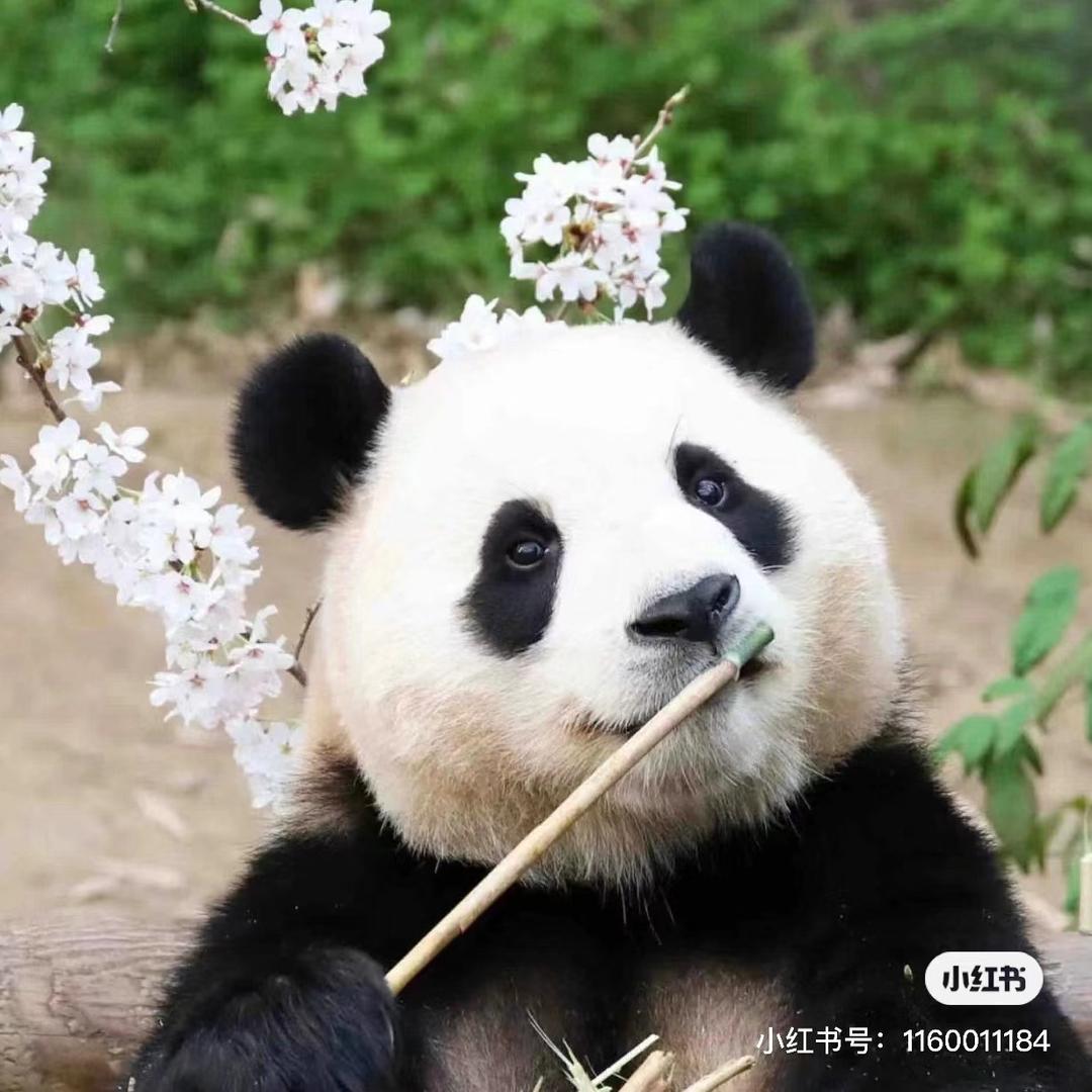 随缘