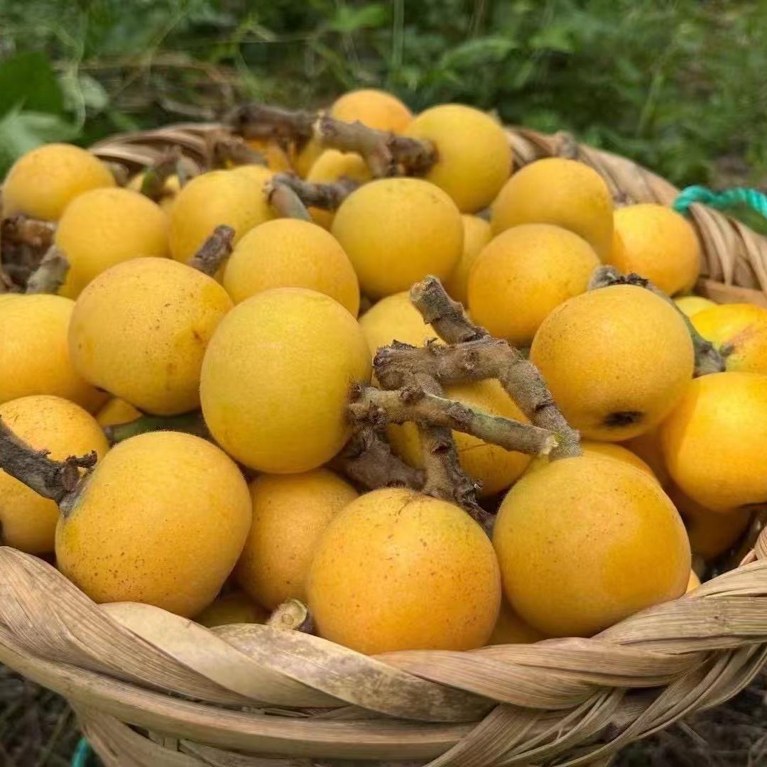 鲜链