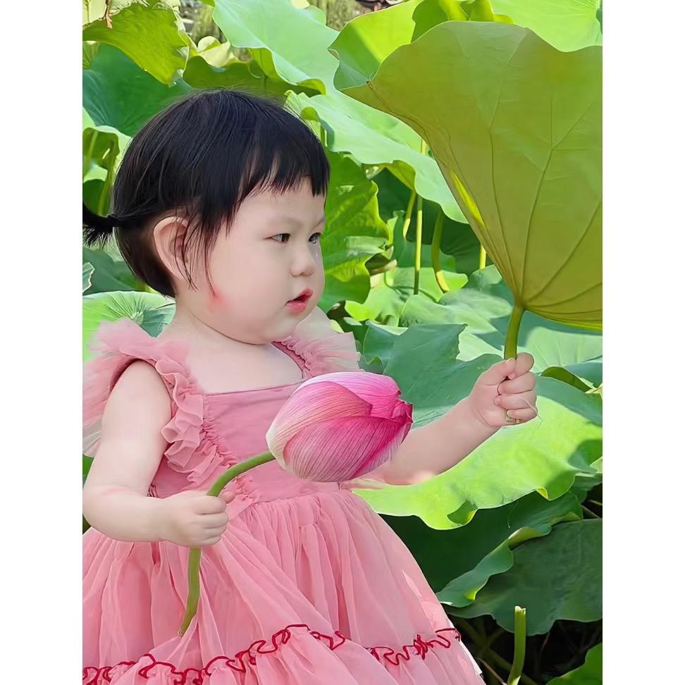 苡茉