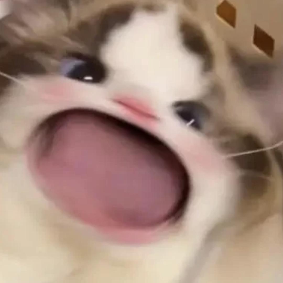 酱酱香骨鸡