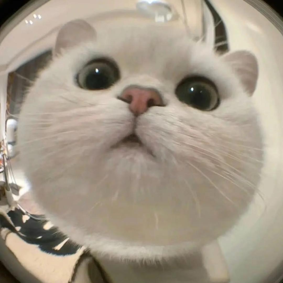 幸运喵