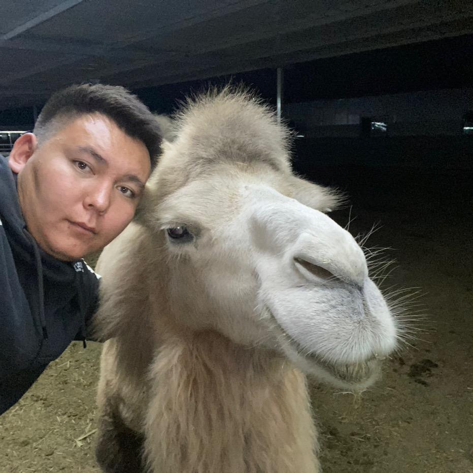 驼先生🐫
