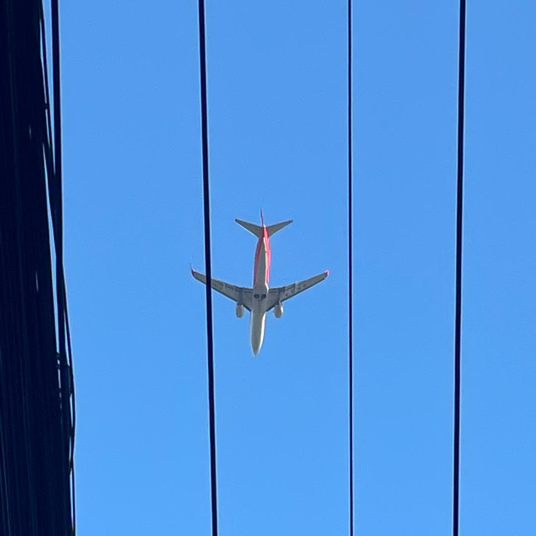 今天起风了吗。