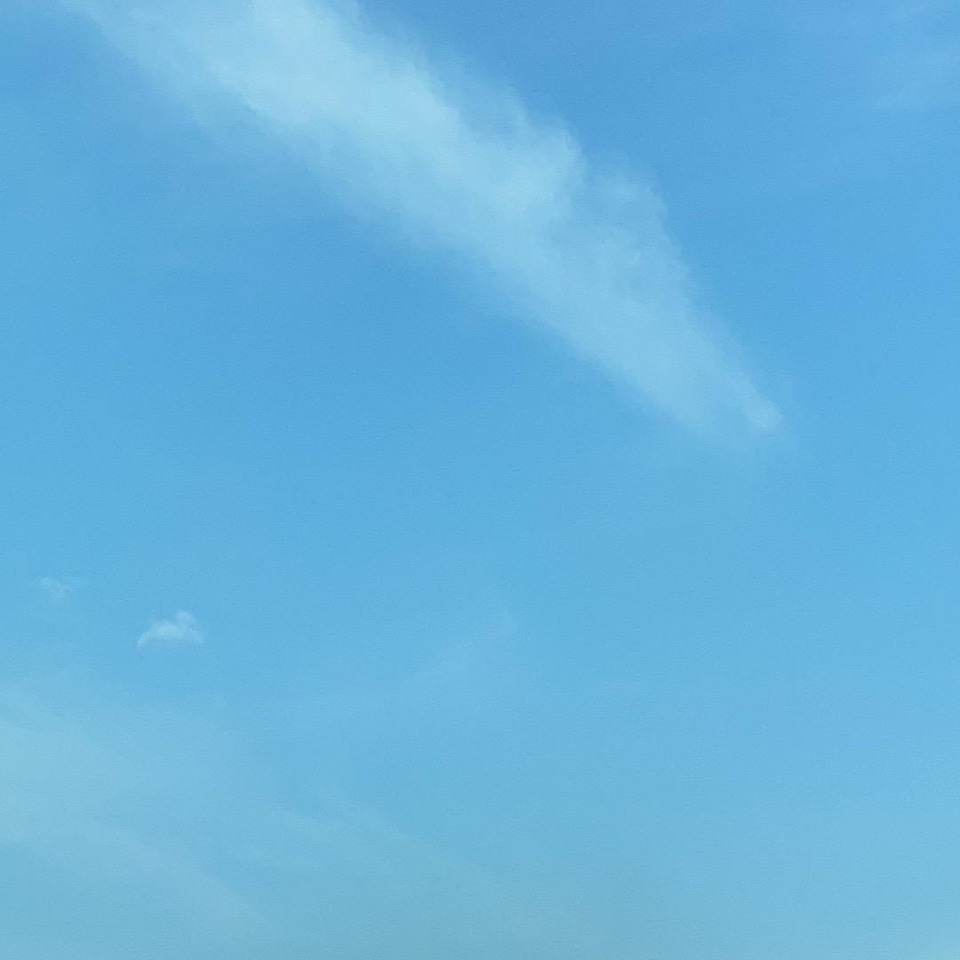 向阳而生