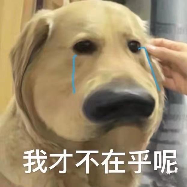 出演心碎小狗