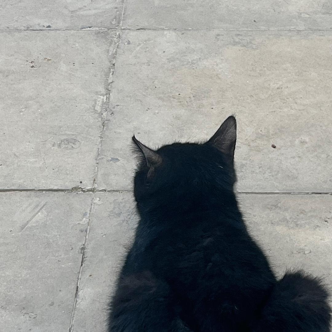 重生之我在抖音建小号