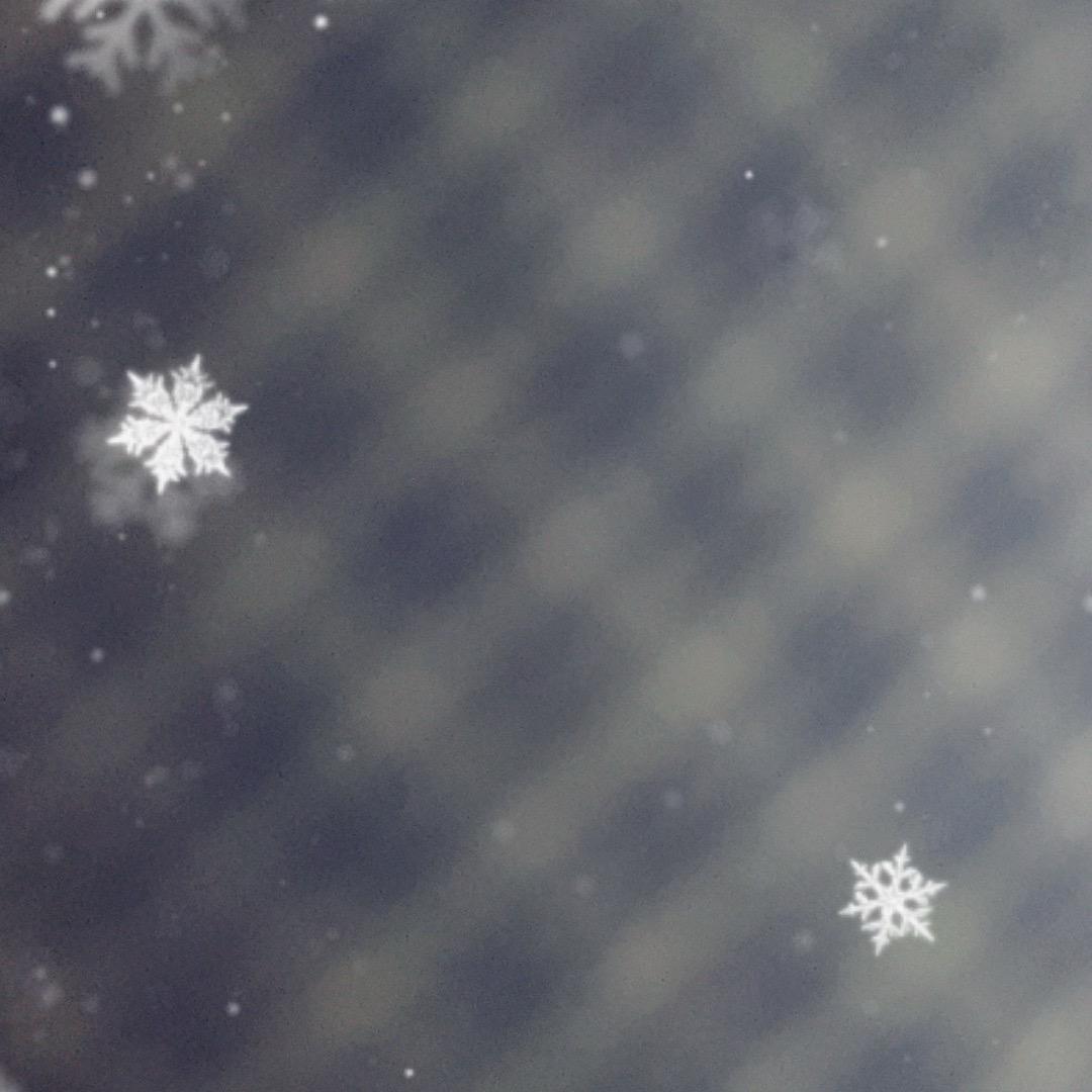 秋
