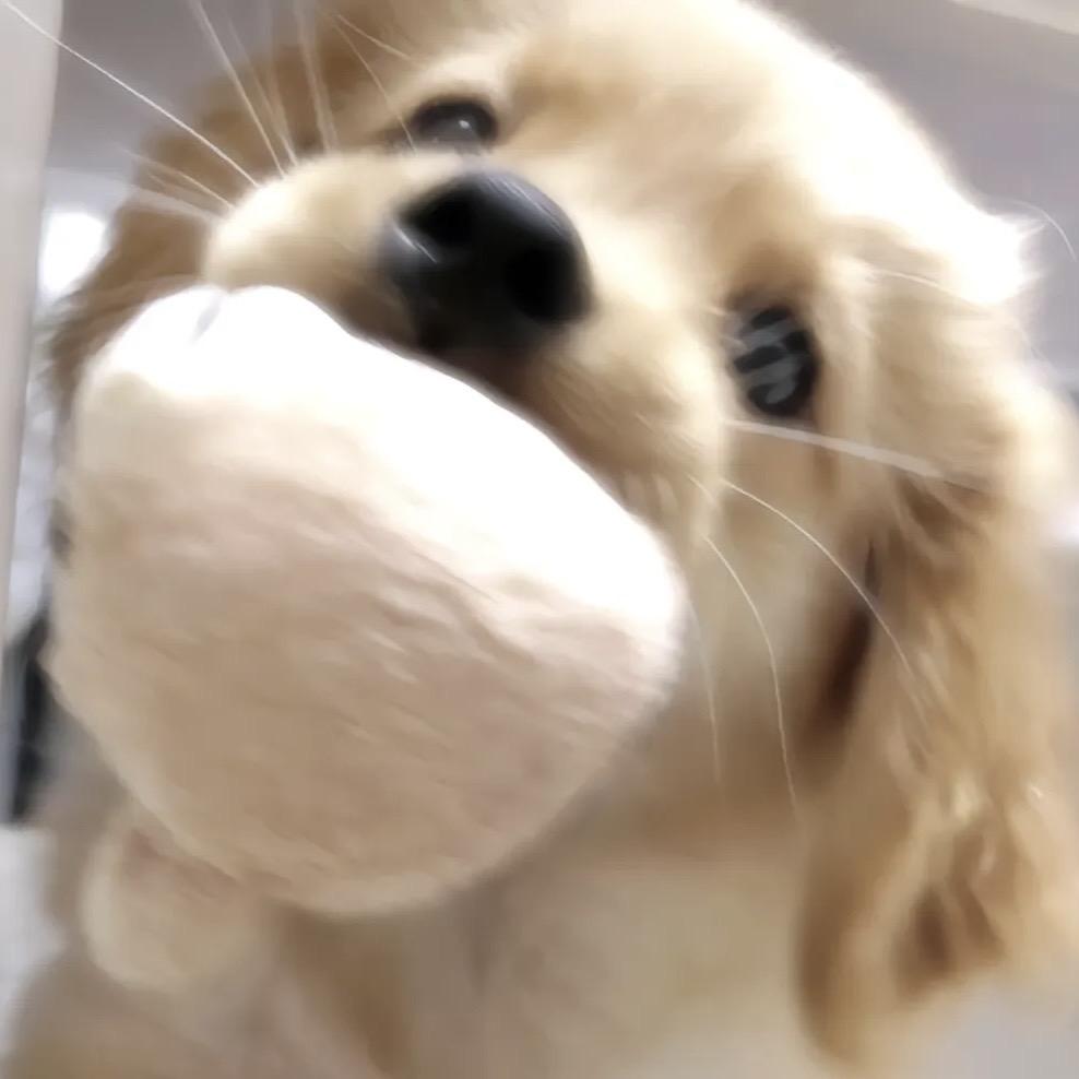 睡大觉