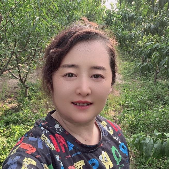 蓝月亮代姐（学习中）