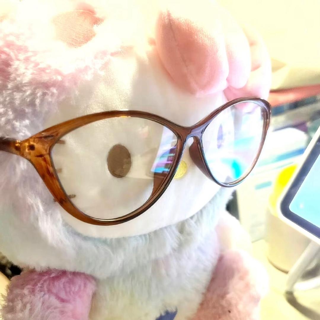 懒猫