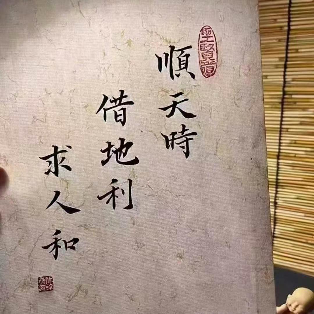 重生之我要做电商