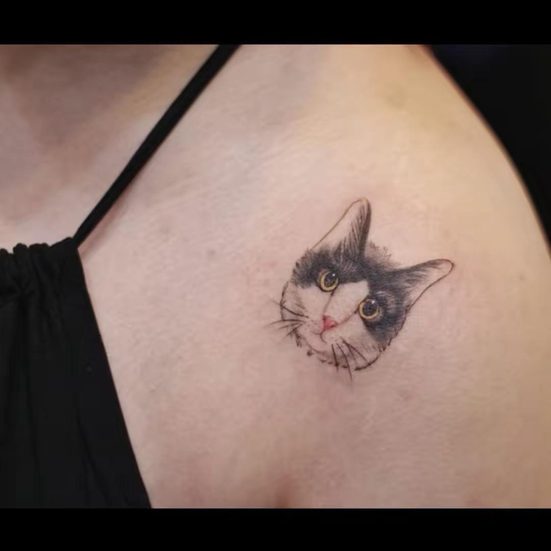 🐈