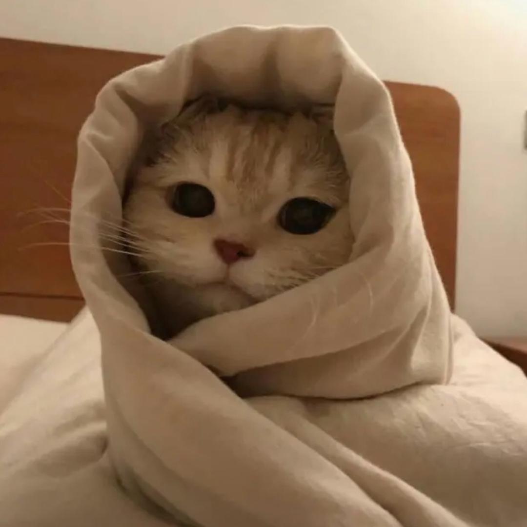 AAA王刚电力