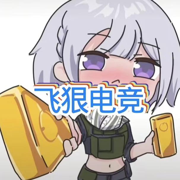飞狠电竞（招陪陪）