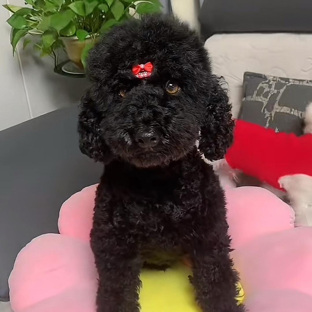 💋笑颜💋