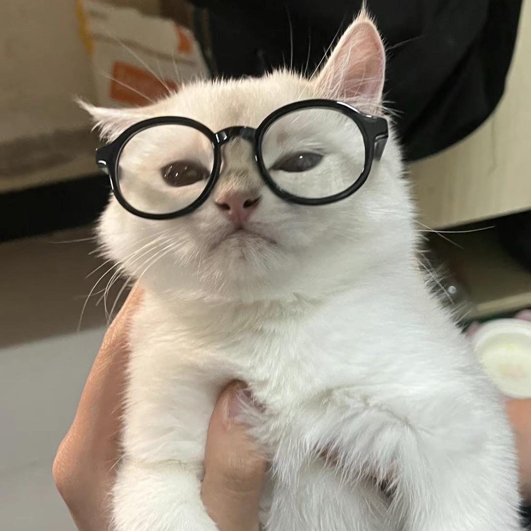 Nuyoah