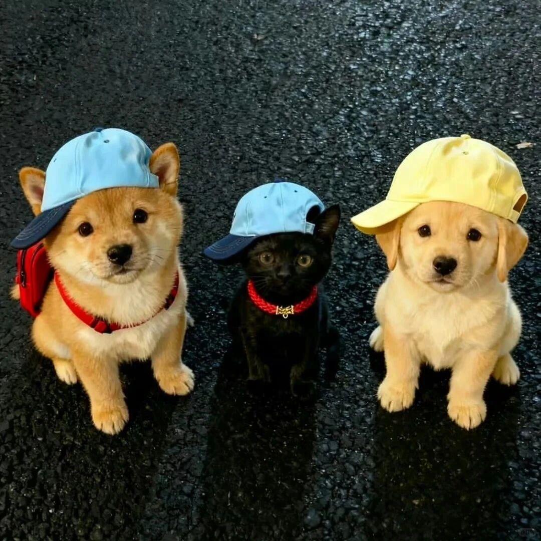 我一路向北