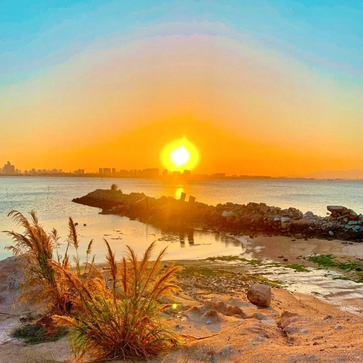 真得爱你的追梦者