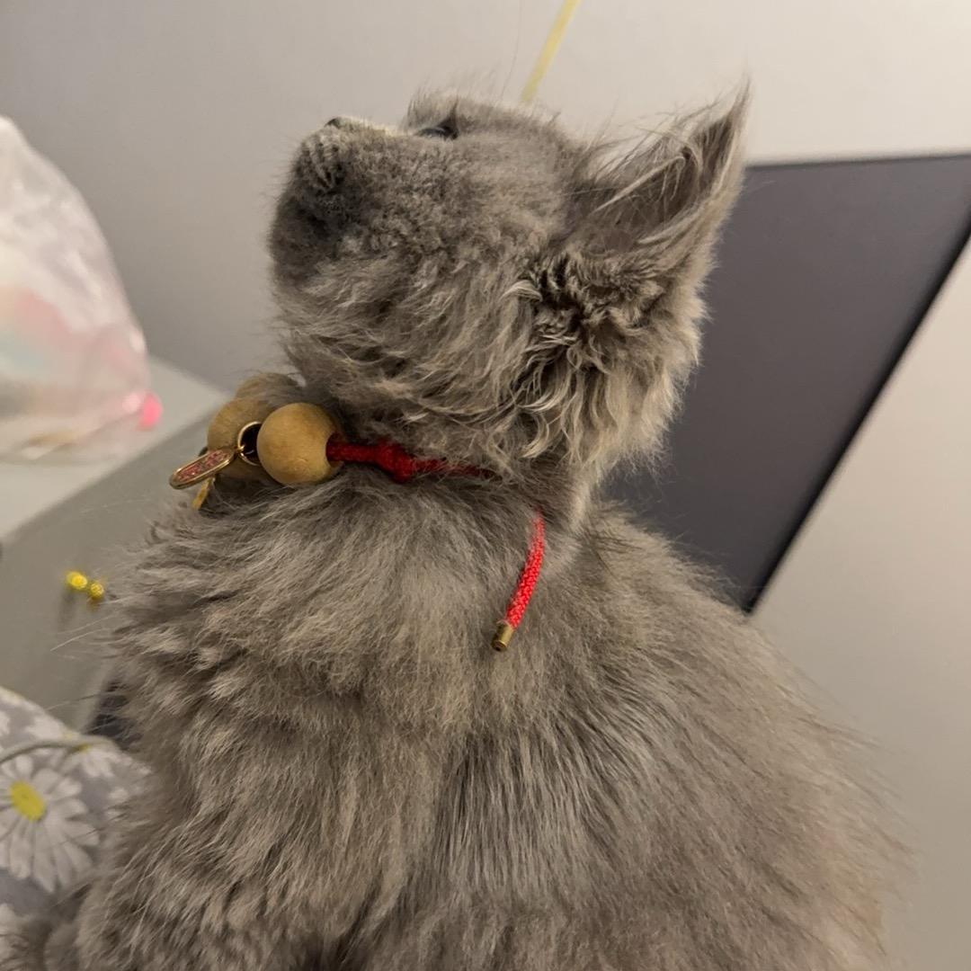 天天