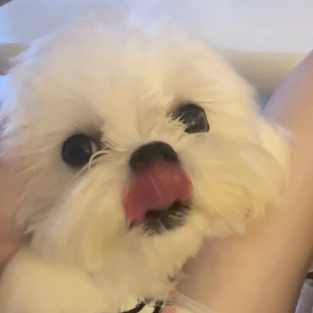 无力小欣