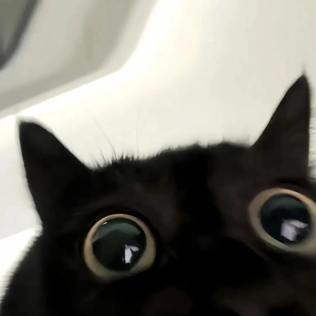 轩密儿杭州伞兵一号科技有限公司专卖店