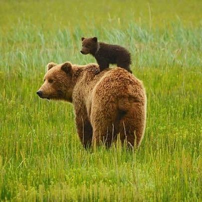 钱多多的理财日记
