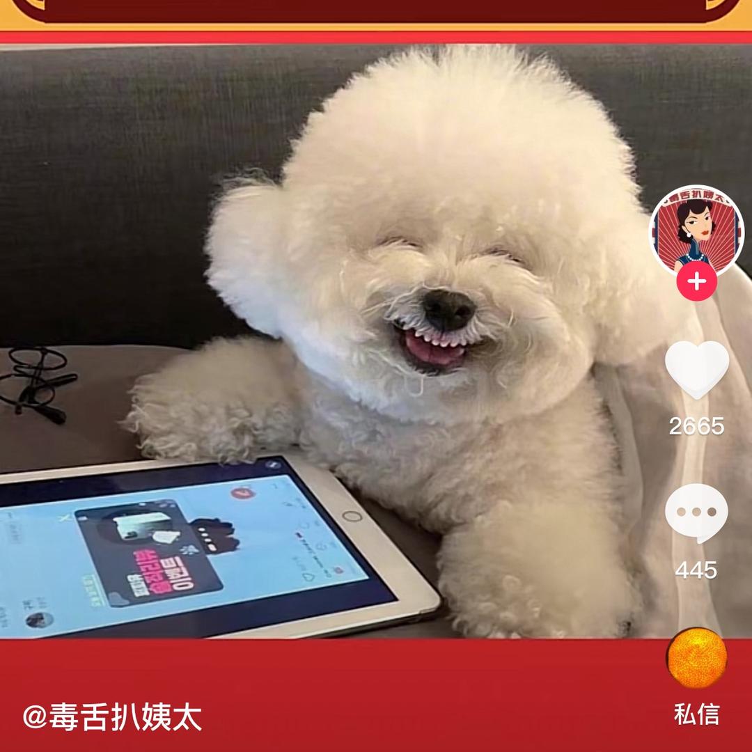 诺无现时