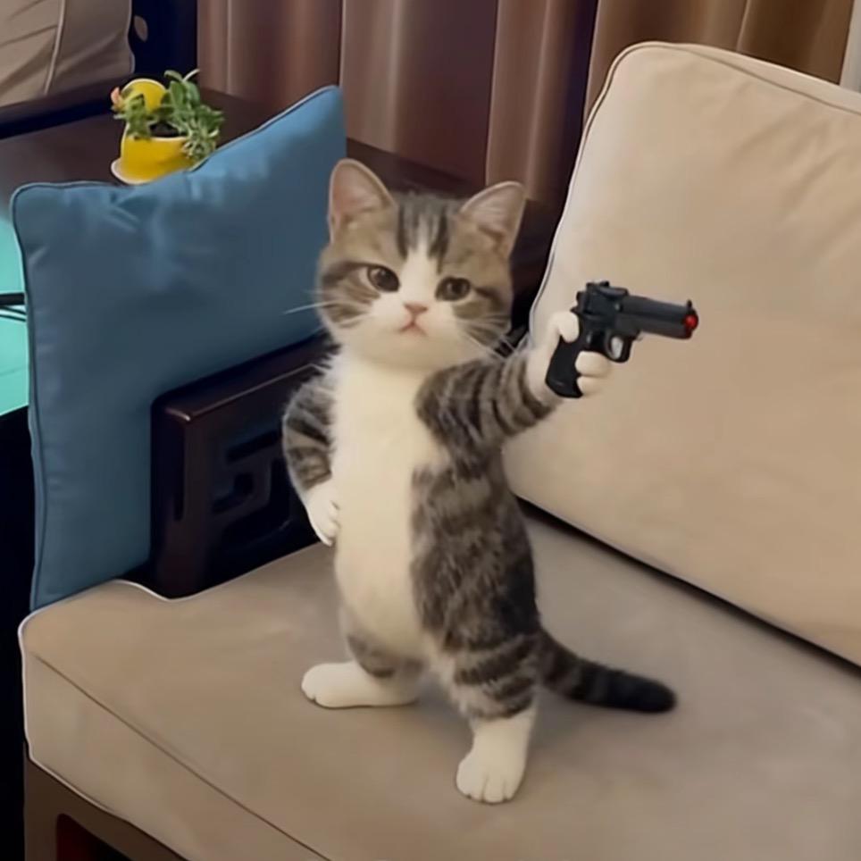 姜姜栗猫 ᖭི༏ᖫྀ