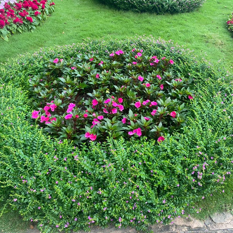 华弟燃气烧烤炉配件