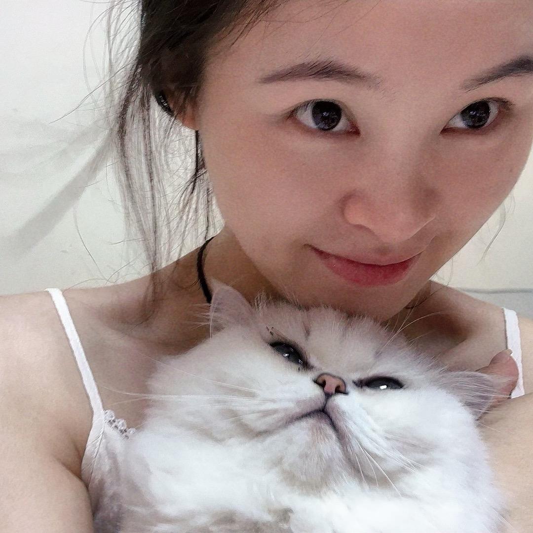 🍥
