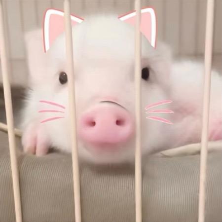 悲天悯人