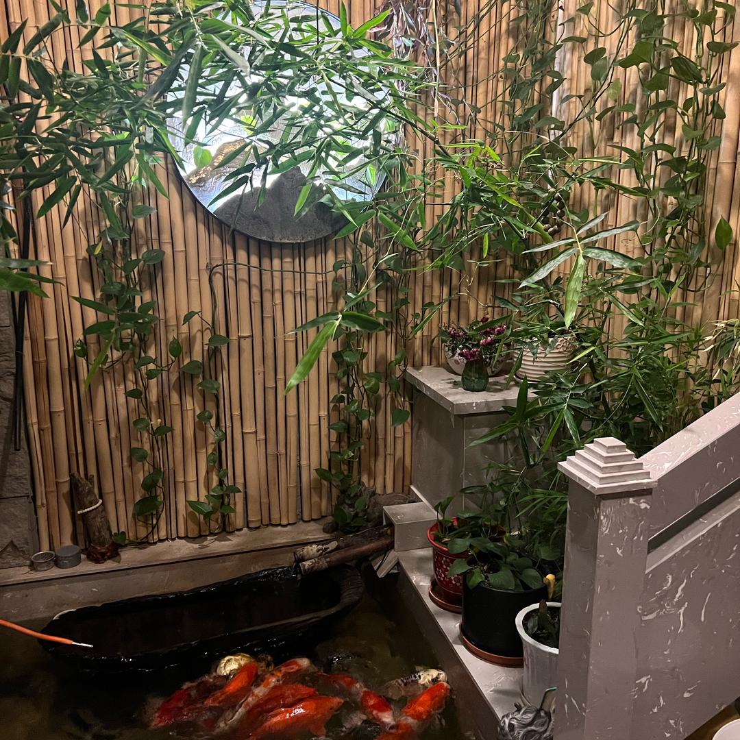 水哥