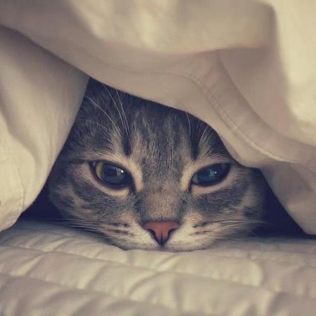 ime.