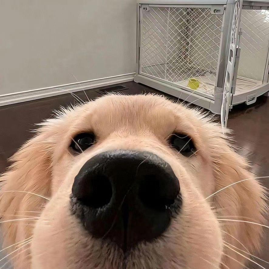 1233 （徒手吃鸡）