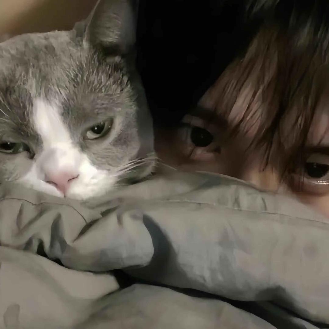 ￴￴ㅤ￴￴￴空白