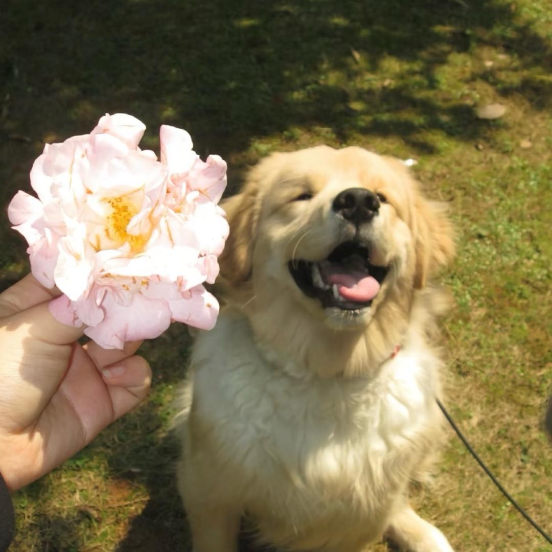 香蕉你个不拿拿🍌