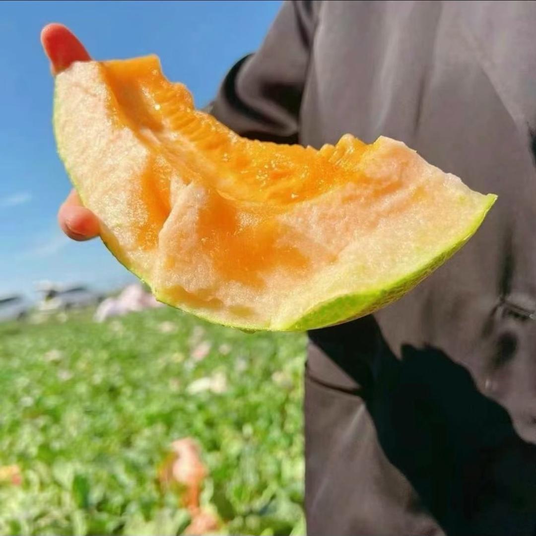 小朱在新疆