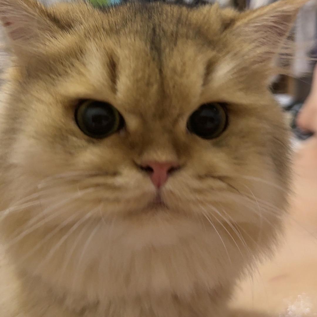 💰暴富研究所💰