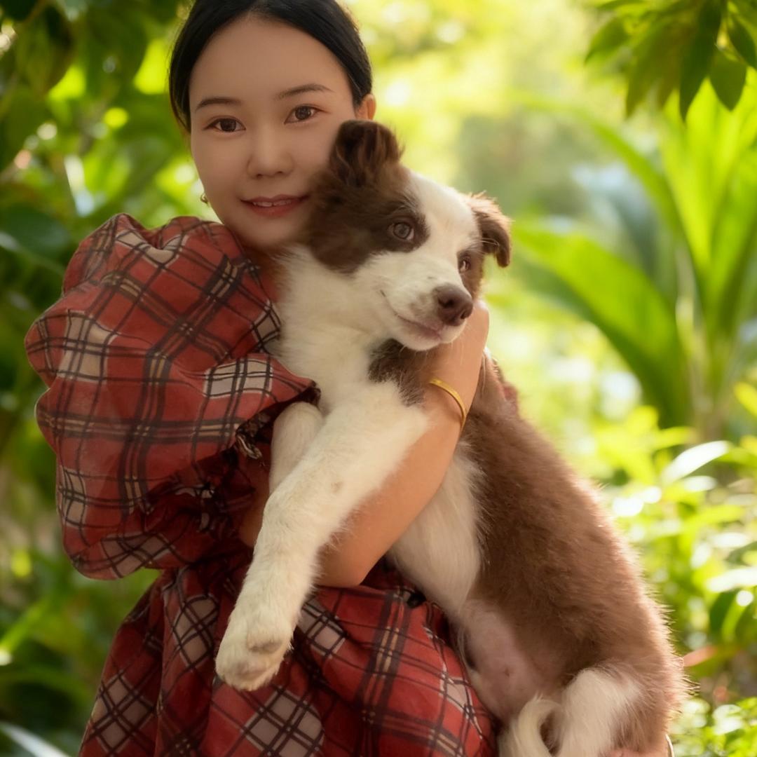 花花和她的巧克力