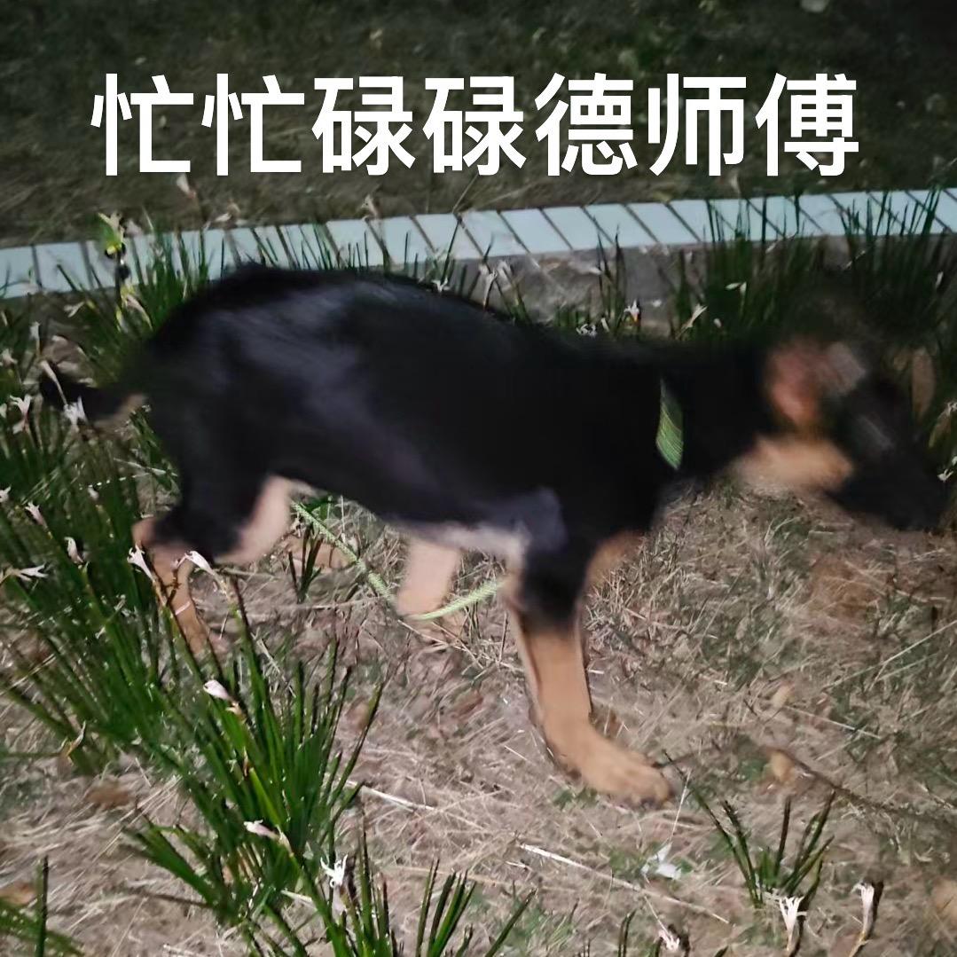 80牛马见习生