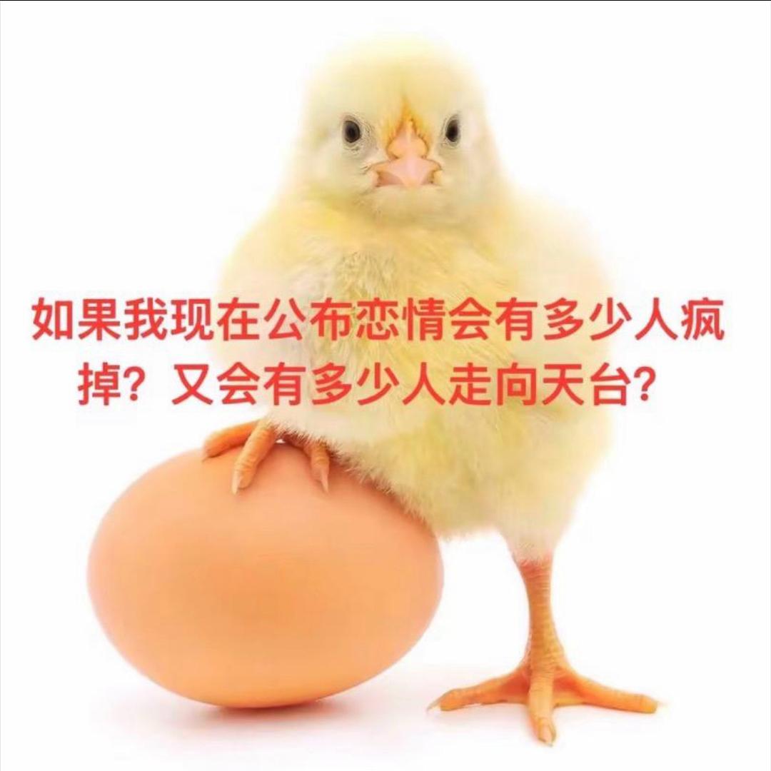 鸡屁股